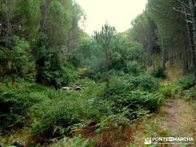 Paseo y Baño por el Valle y Río Tiétar;puente de san isidro senderismo trekking viajes puente san